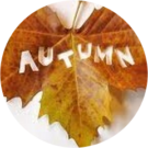 Autumn Hardesty Avatar